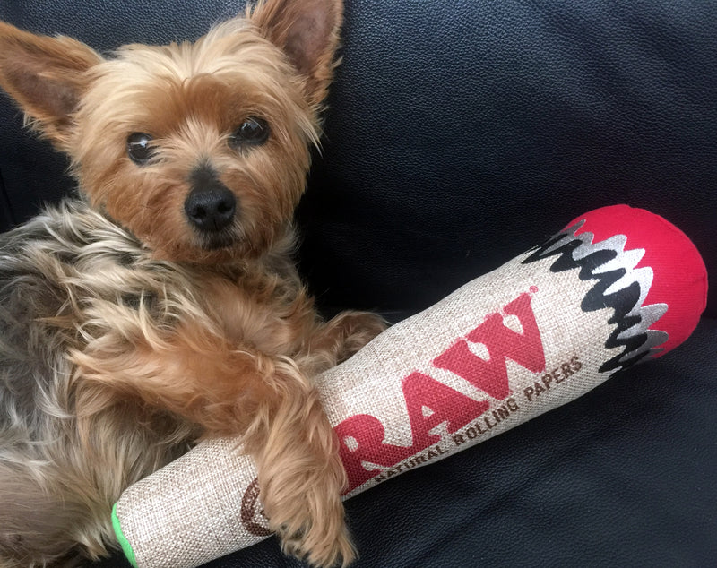 RAW Dog Toy Vancouver