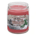 Sugared Cranberry Smoke Odor Exterminator Candle Canada
