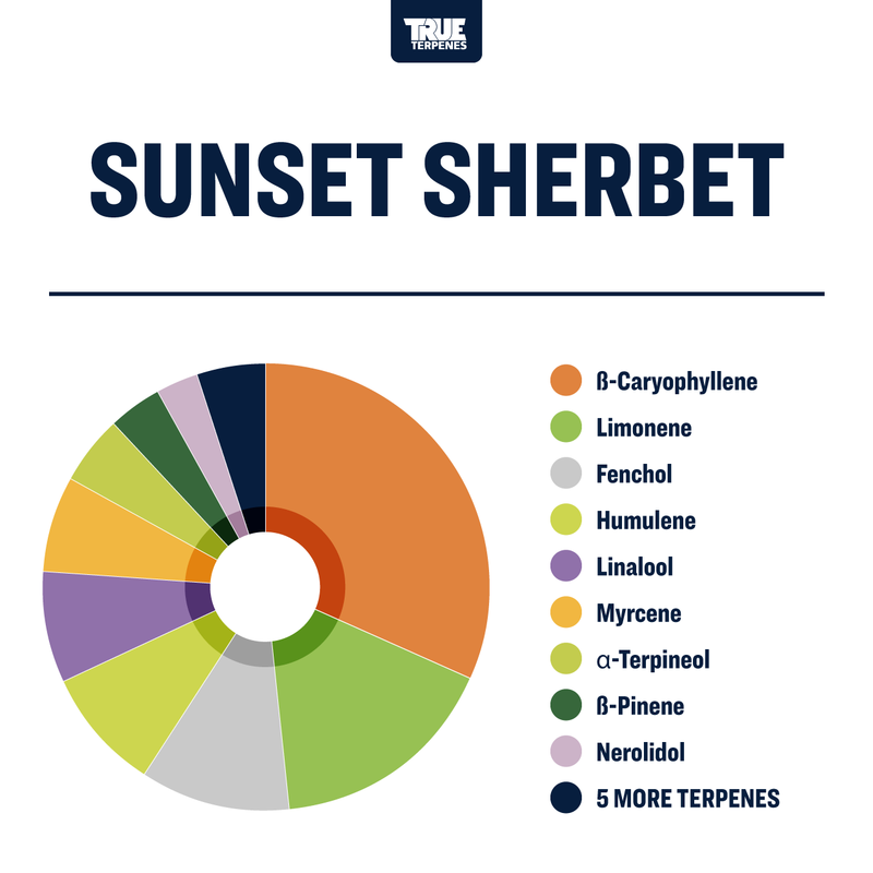 Sunset Sherbet Strain Profile True Terpenes Canada