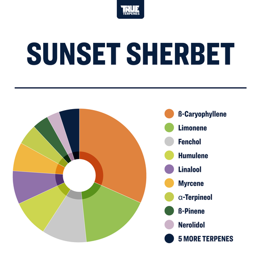 Sunset Sherbet Strain Profile True Terpenes Canada