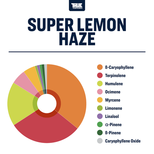 Super Lemon Haze Strain Profile True Terpenes Canada
