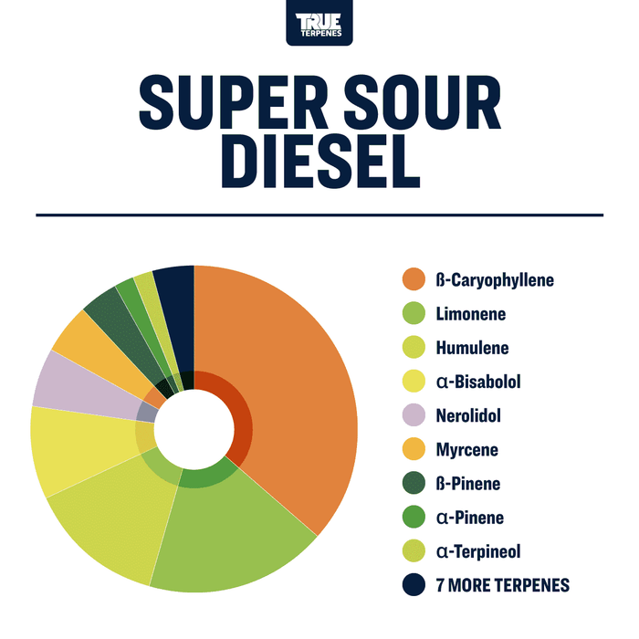 Super Sour Diesel Strain Profile True Terpenes Canada