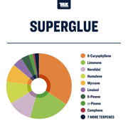 Super Glue Strain Profile True Terpenes Canada