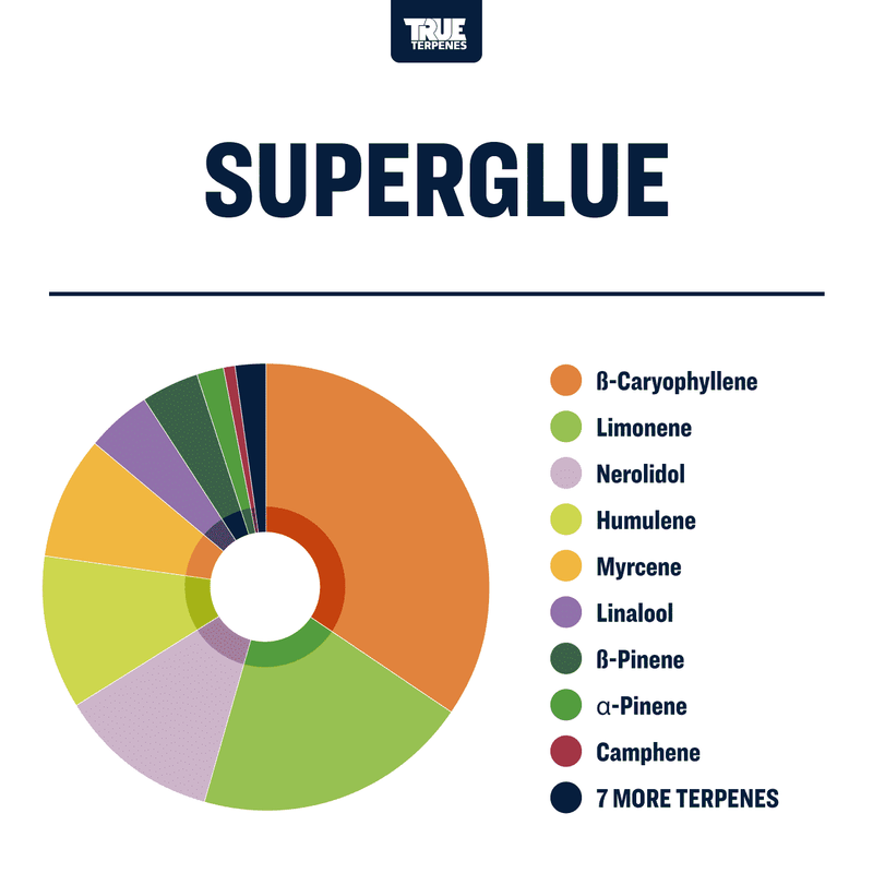 Super Glue Strain Profile True Terpenes Canada