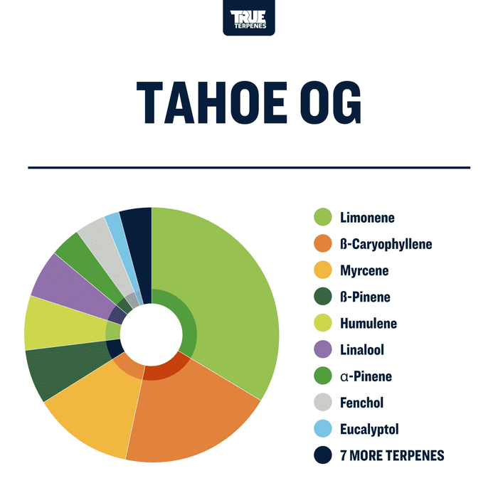 Tahoe OG Strain Profile True Terpenes Canada