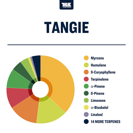 Tangie Strain Profile True Terpenes Canada