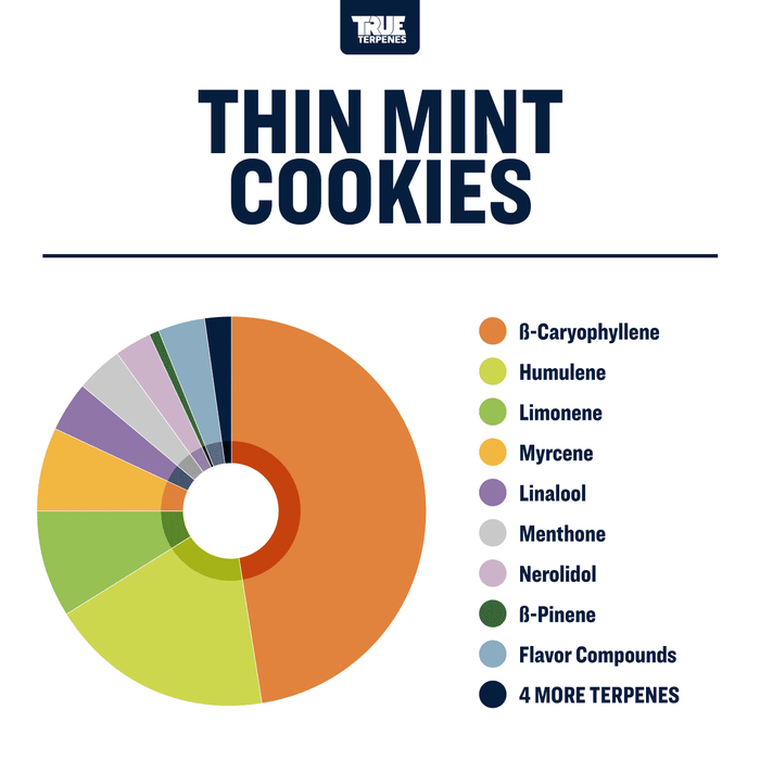 Thin Mint Cookies Strain Profile True Tepenes Canada