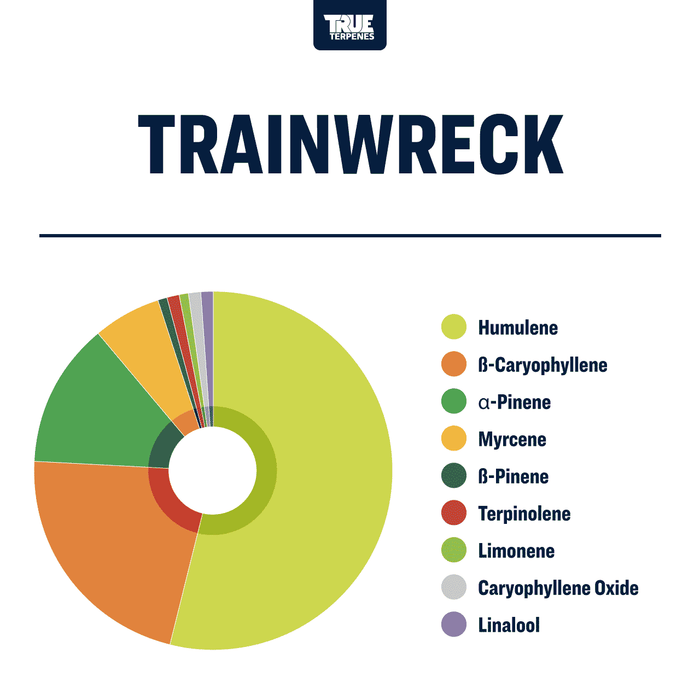 Trainwreck Strain Profile True Terpenes Canada