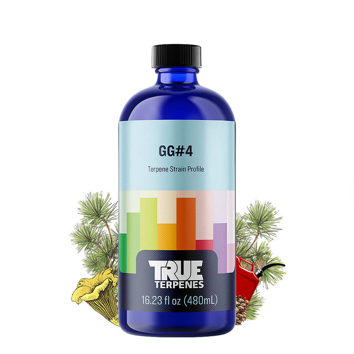 Gorilla Glue #4 True Terpenes Cannabis Profile Canada