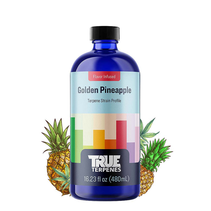 Golden Pineapple Strain Profile True Terpenes Canada