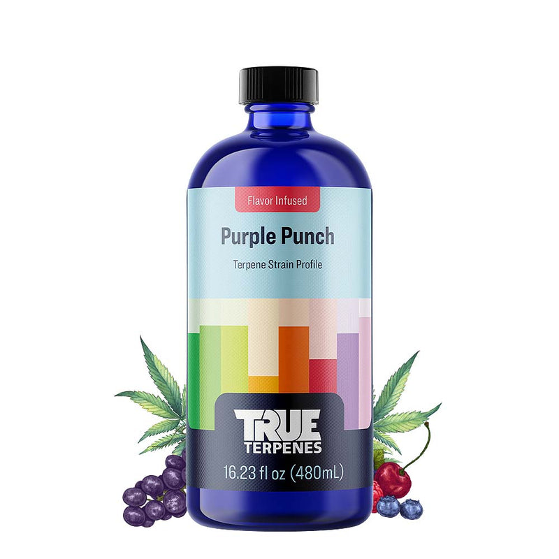 Purple Punch Strain Profile True Terpenes Canada