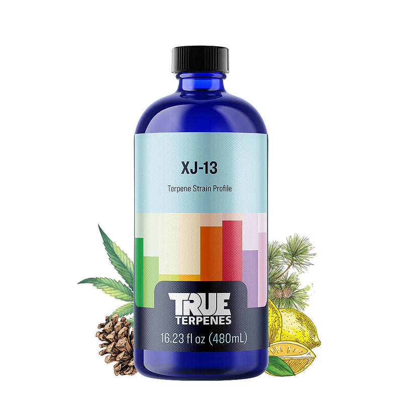 XJ13 Strain Profile True Terpenes Canada