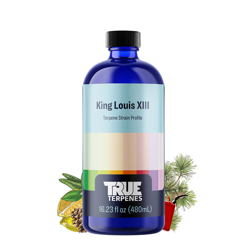 King Louis XIII Strain Profile True Terpenes Canada