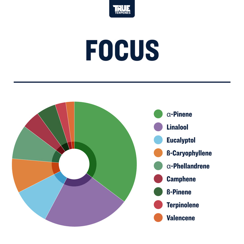 True Terpenes Effects Blends Focus Canada