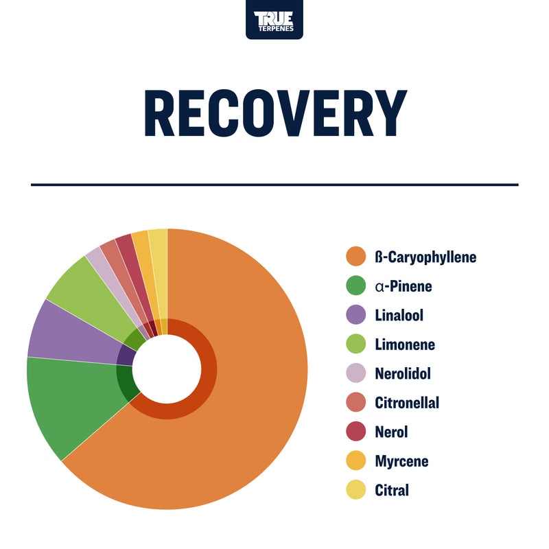 True Terpenes Recovery Terpology Profile Canada