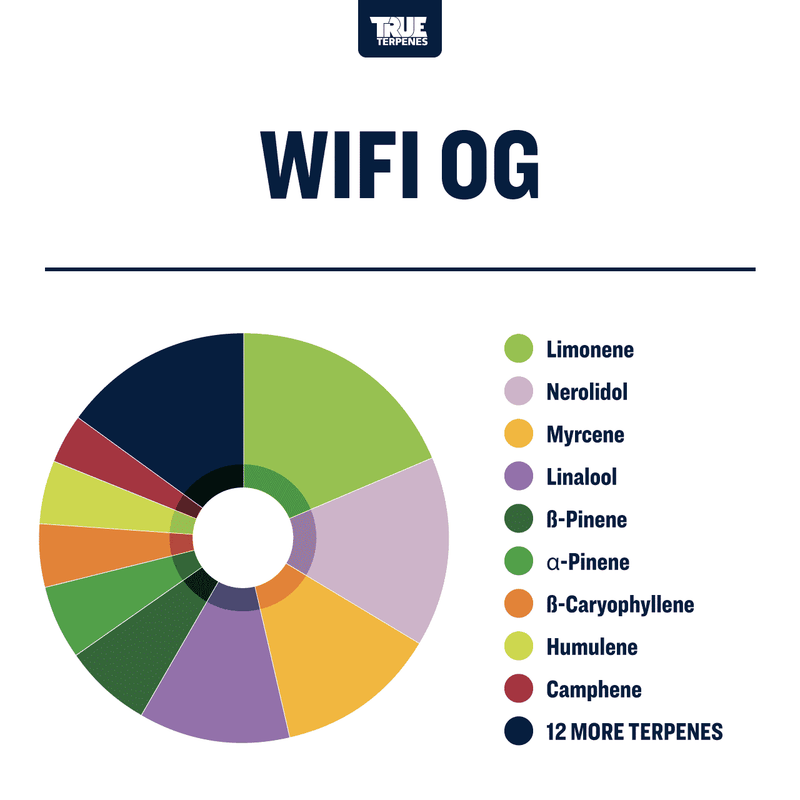 Wifi OG Strain Profile True Terpenes Canada