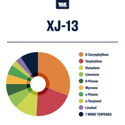 XJ13 Strain Profile True Terpenes Canada