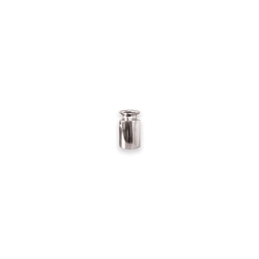100g Calibration weights for scales Canada