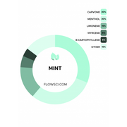 Flow Scientific Mint Terpene Blend