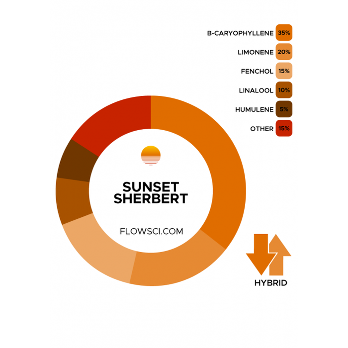 Flow Scientific Sunset Sherbert Terpene Blend