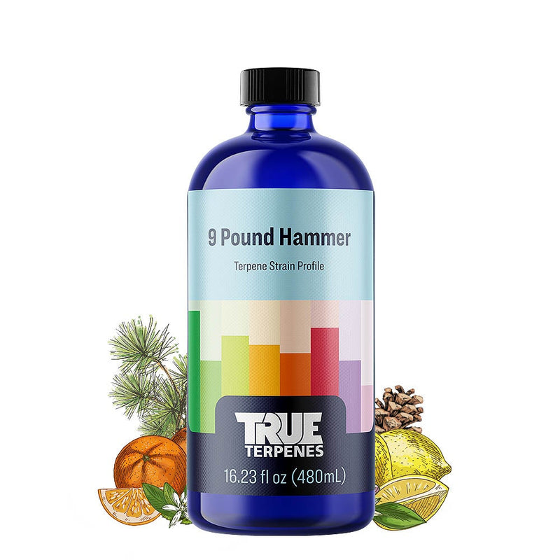True Terpenes 9 Pound Hammer Strain Profile Canada