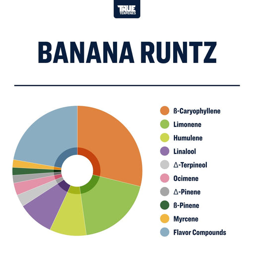 True Terpenes Banana Runtz Strain Profile Canada