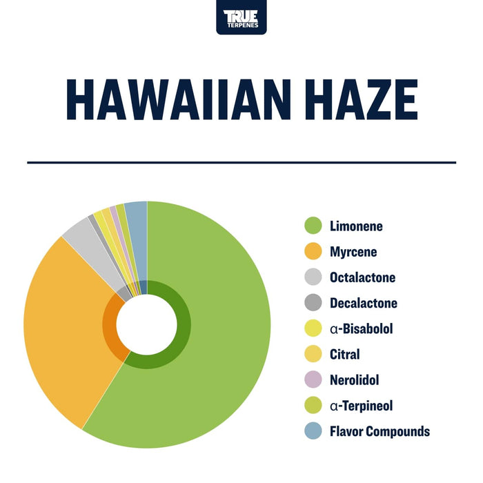 Hawaiian Haze Strain Profile Terpenes Canada