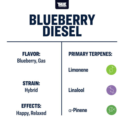 True Terpenes Blueberry Diesel Live Alchemy Canada