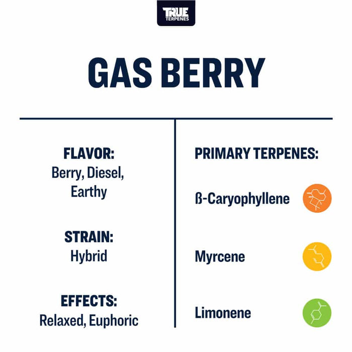 Gas Berry Live Alchemy by True Terpenes Canada