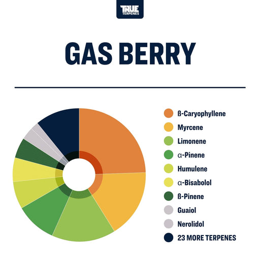 True Terpenes Live Alchemy Gas Berry Canada