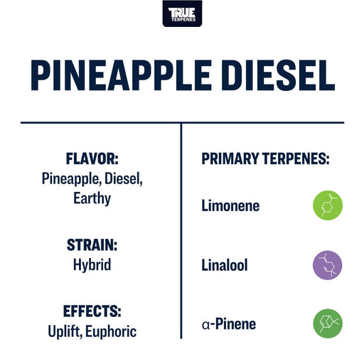 True Terpenes Pineapple Diesel Live Alchemy Canada